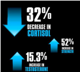 Switch Nutrition Adrenal Switch